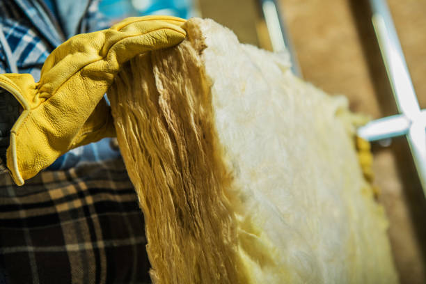 Best Insulation Maintenance and Repair in Barrington Hls, IL